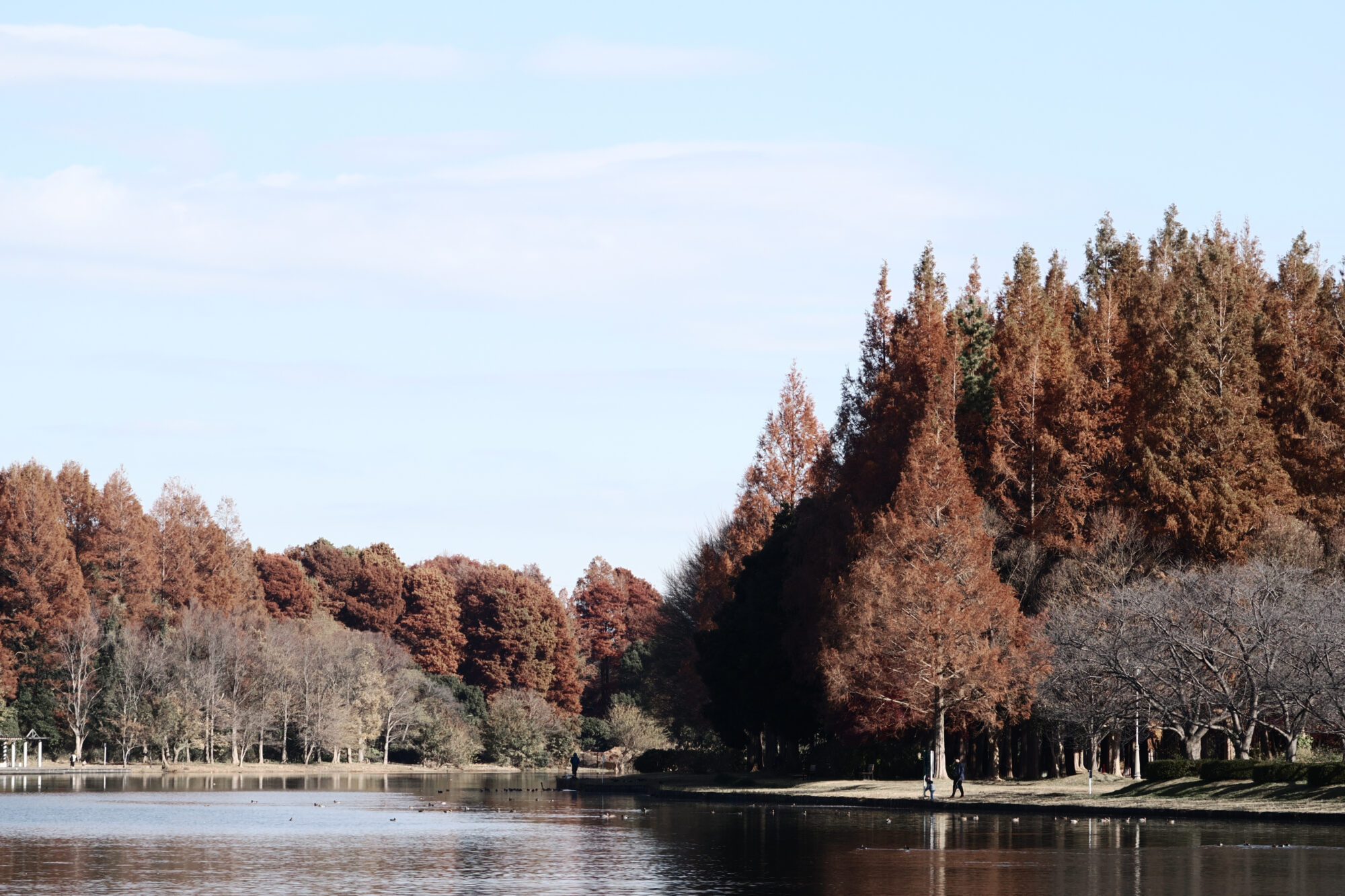 OM-3 f/6.3 1/1600sec 75mm