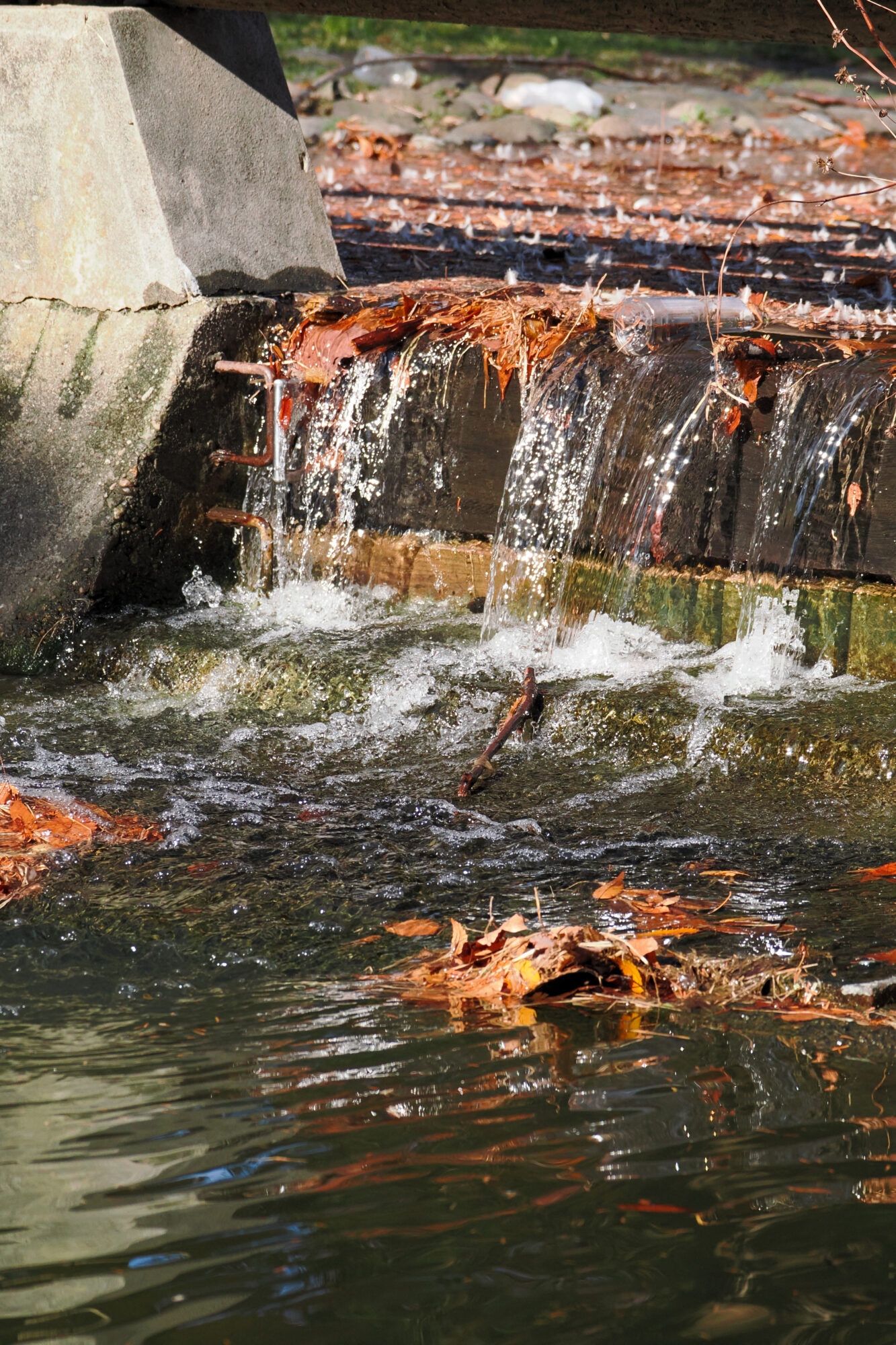 OM-3 f/6.3 1/2500sec 75mm