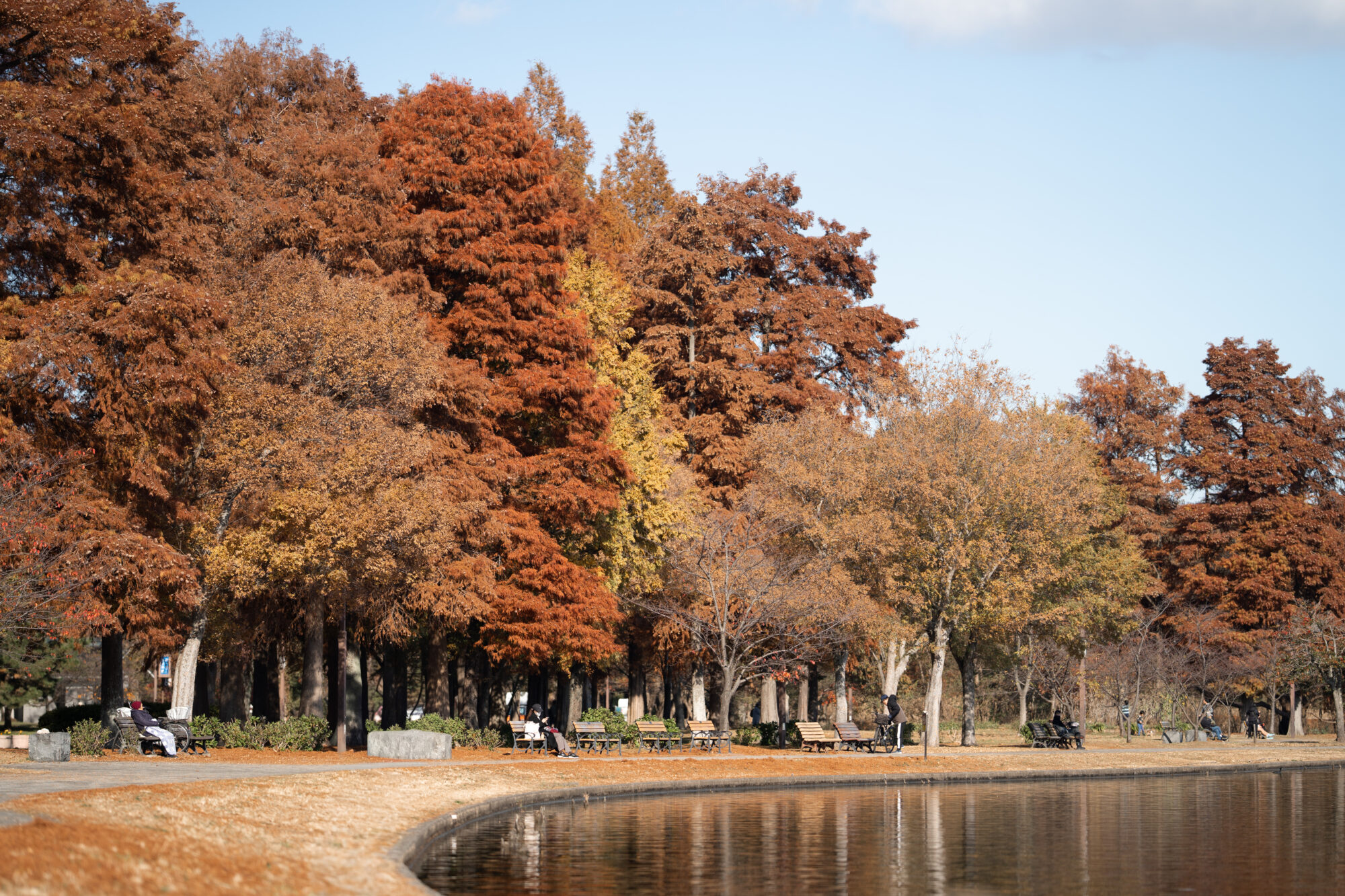 ILCE-7C f/1.8 1/2000sec 135mm