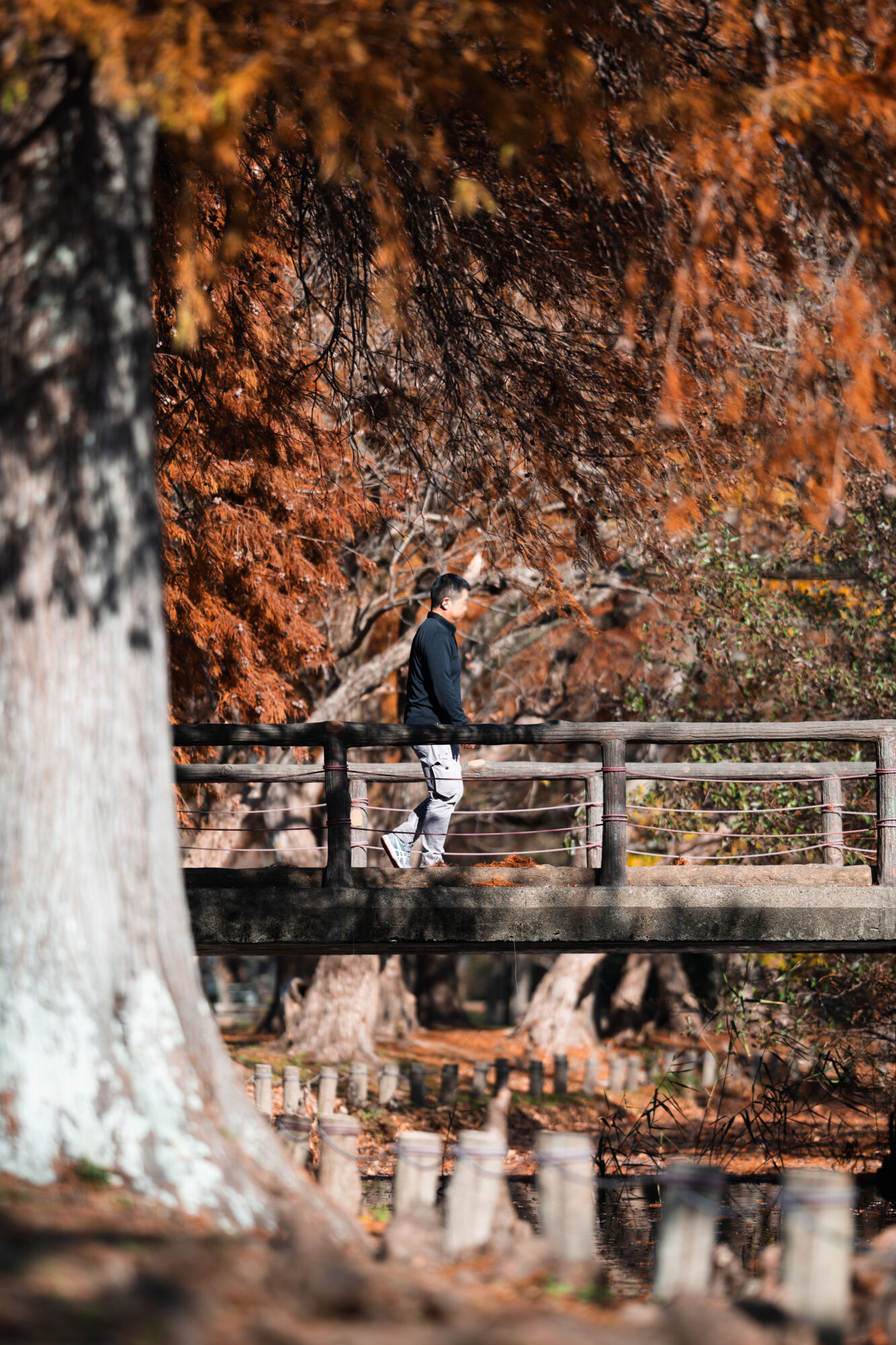 ILCE-7C f/1.8 1/1250sec 135mm ノーマル