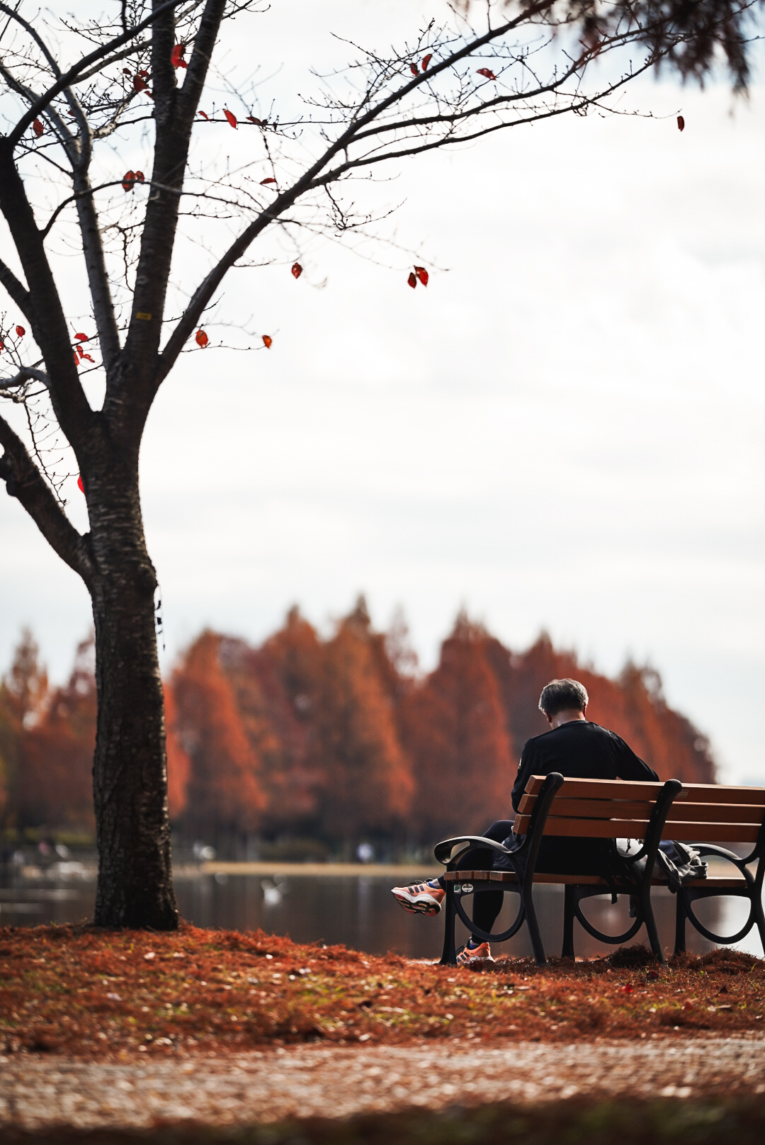 ILCE-7C f/1.8 1/2500sec 135mm