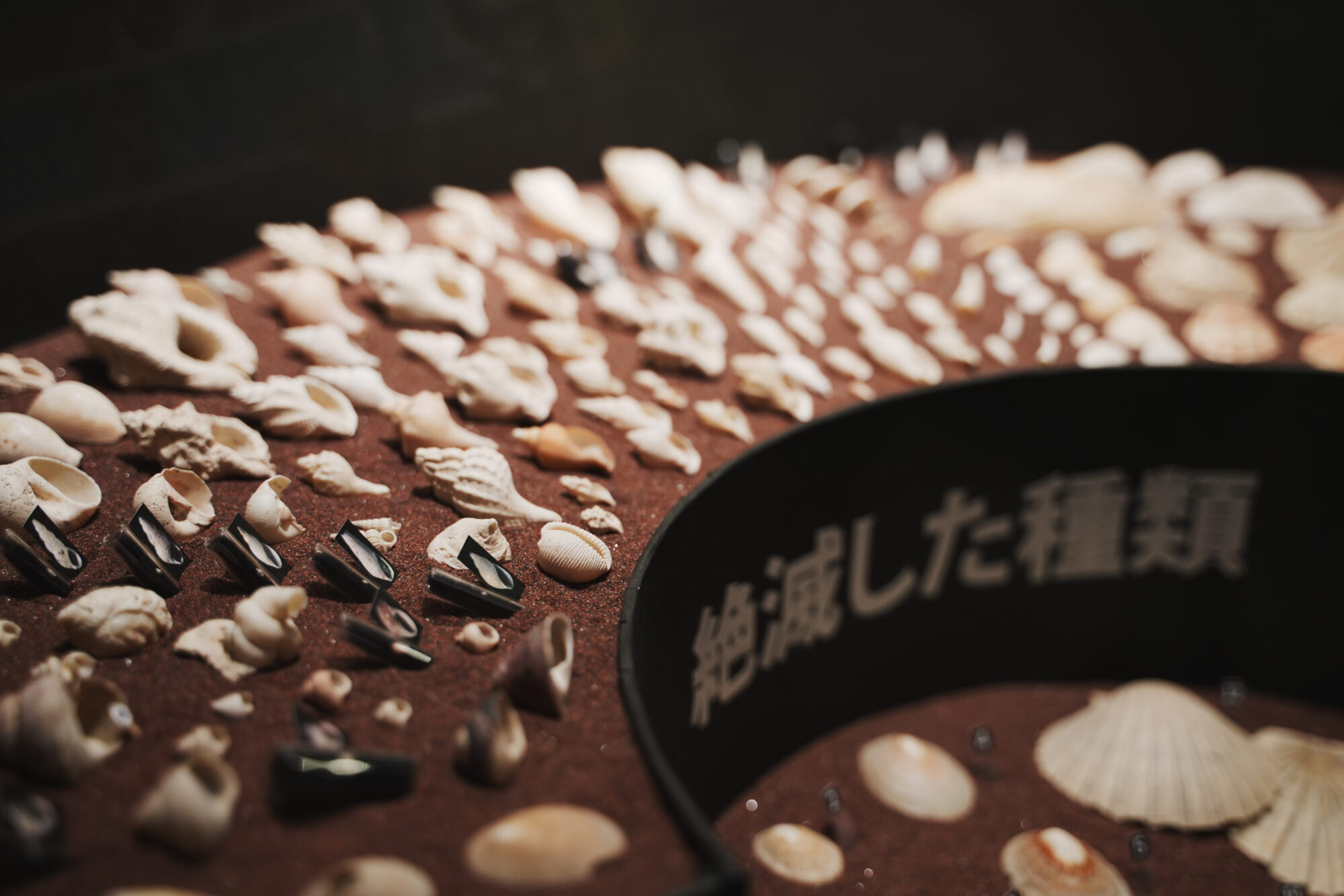 ILCE-7M5 f/2.8 1/60sec 44mm