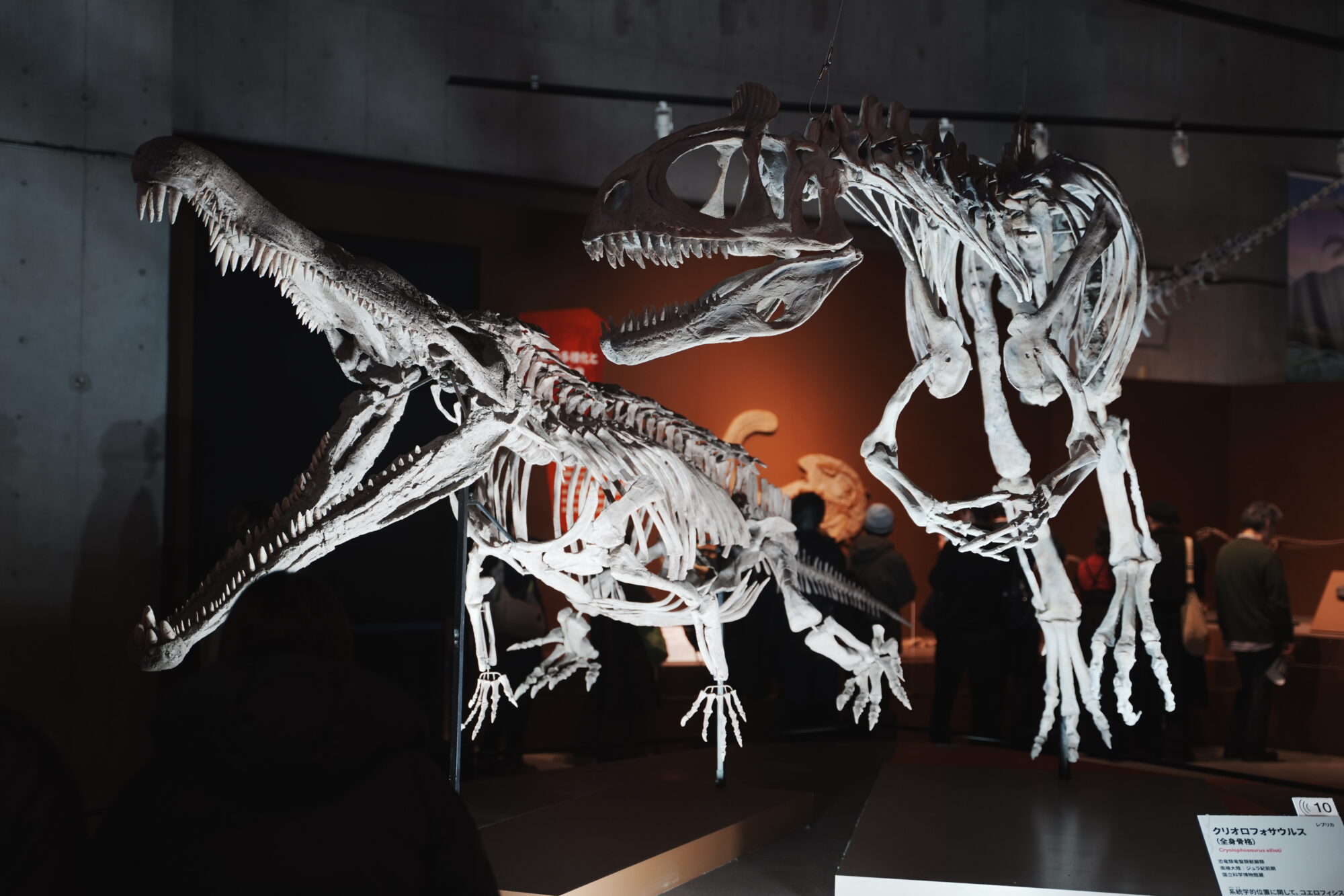 ILCE-7M5 f/2.8 1/60sec 50mm ノーマル