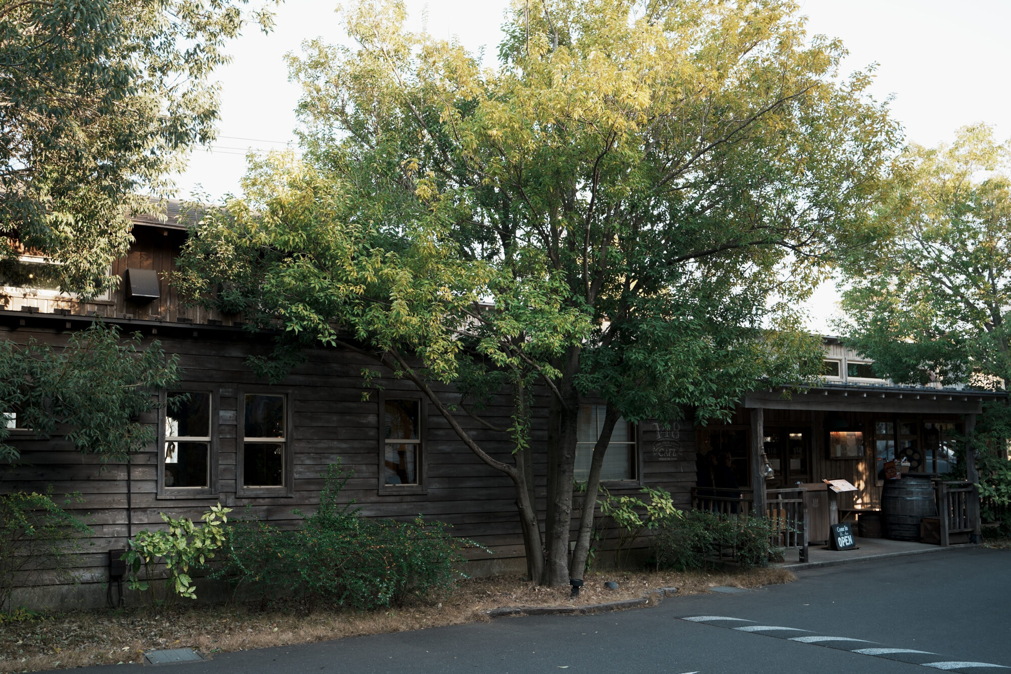 ILCE-7M5 f/3.2 1/200sec 28mm