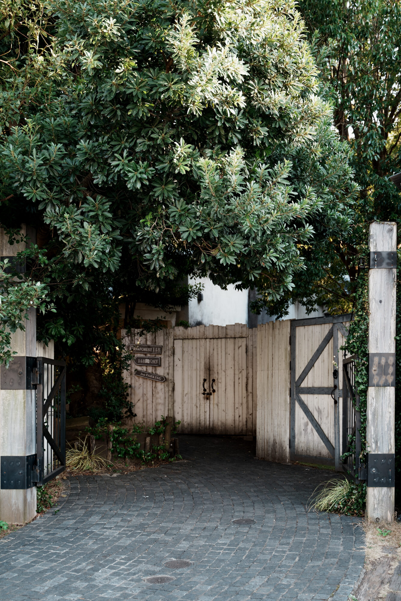 ILCE-7M5 f/3.2 1/60sec 42mm