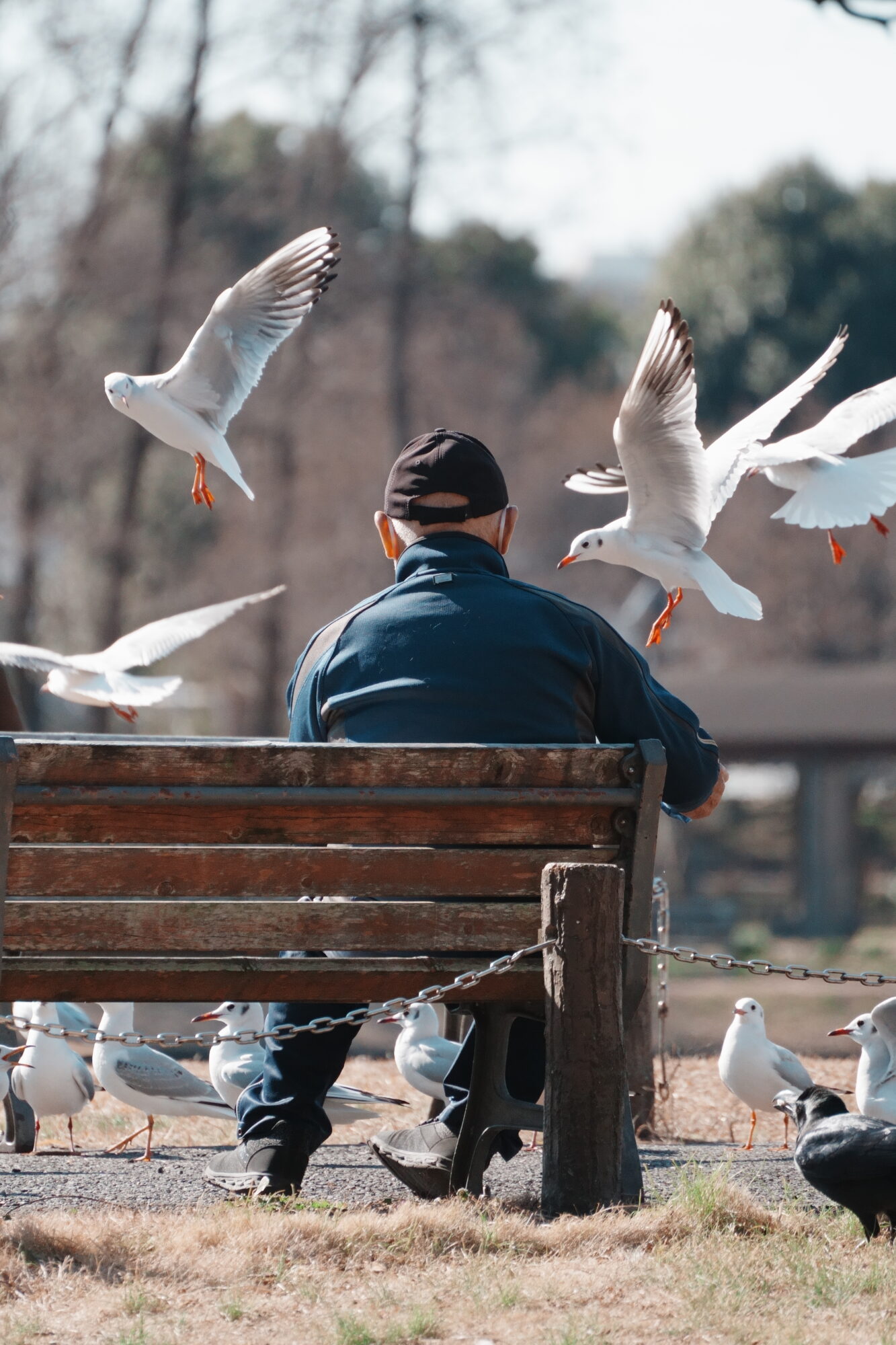 ILCE-7M5 f/6.3 1/2500sec 300mm ノーマル