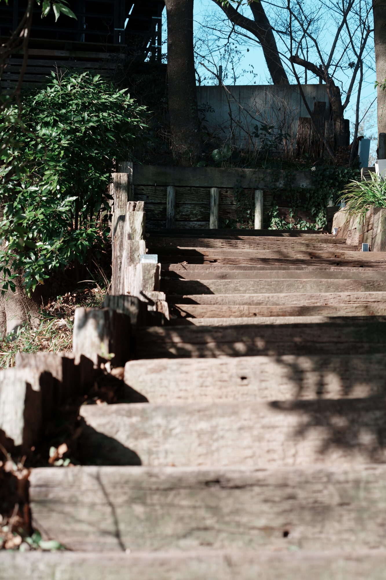 ILCE-7M5 f/8 1/125sec 85mm ノーマル