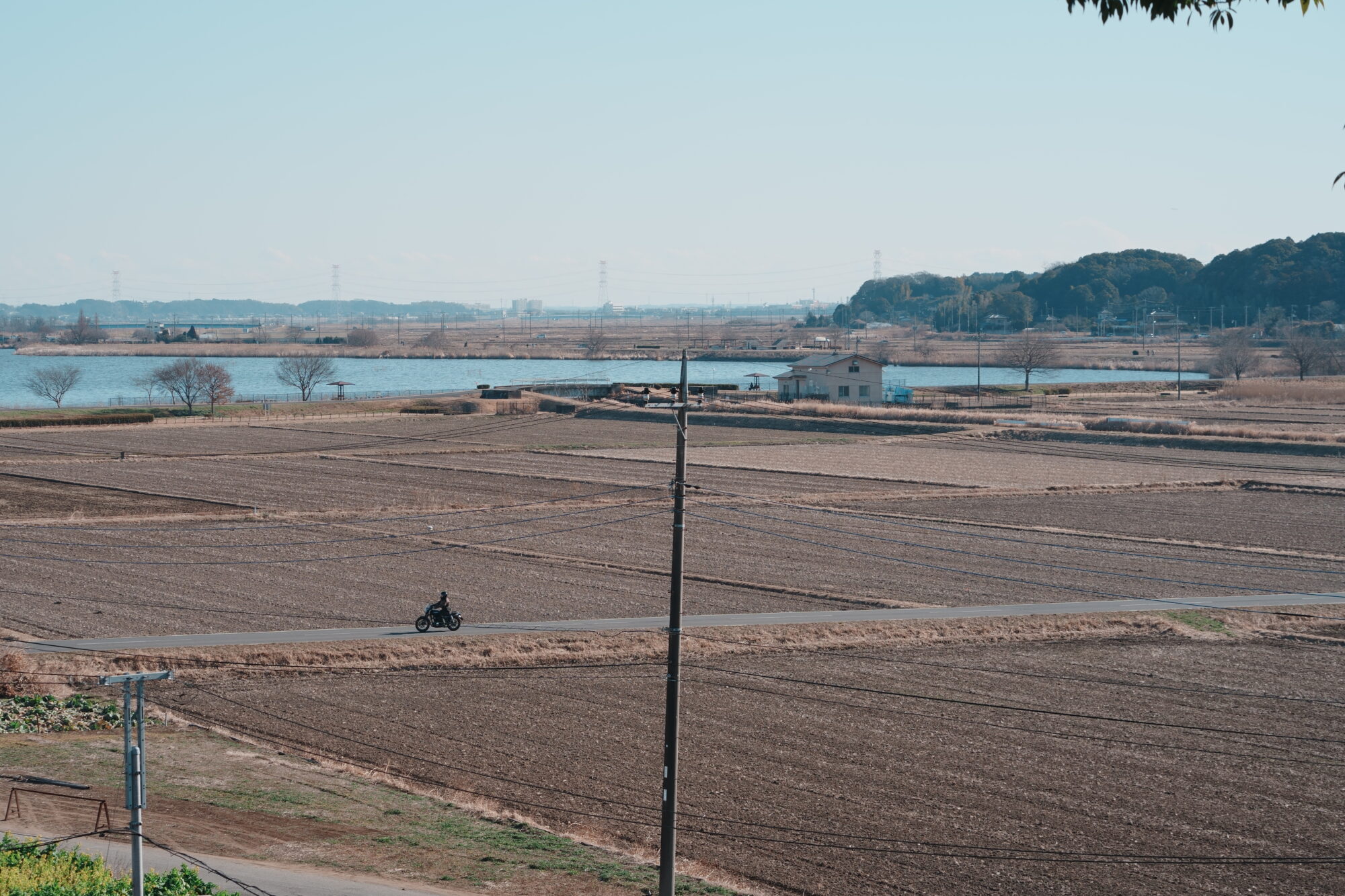 ILCE-7M5 f/8 1/400sec 85mm ノーマル