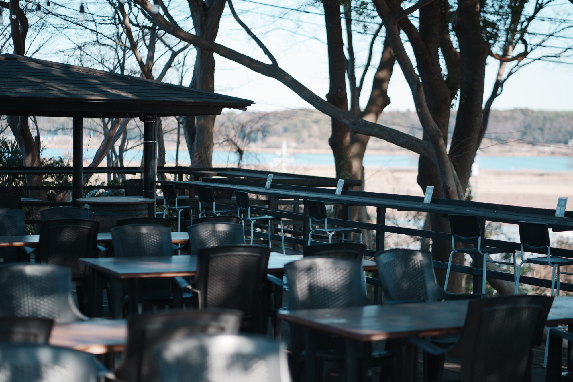 ILCE-7M5 f/1.8 1/1600sec 85mm ノーマル