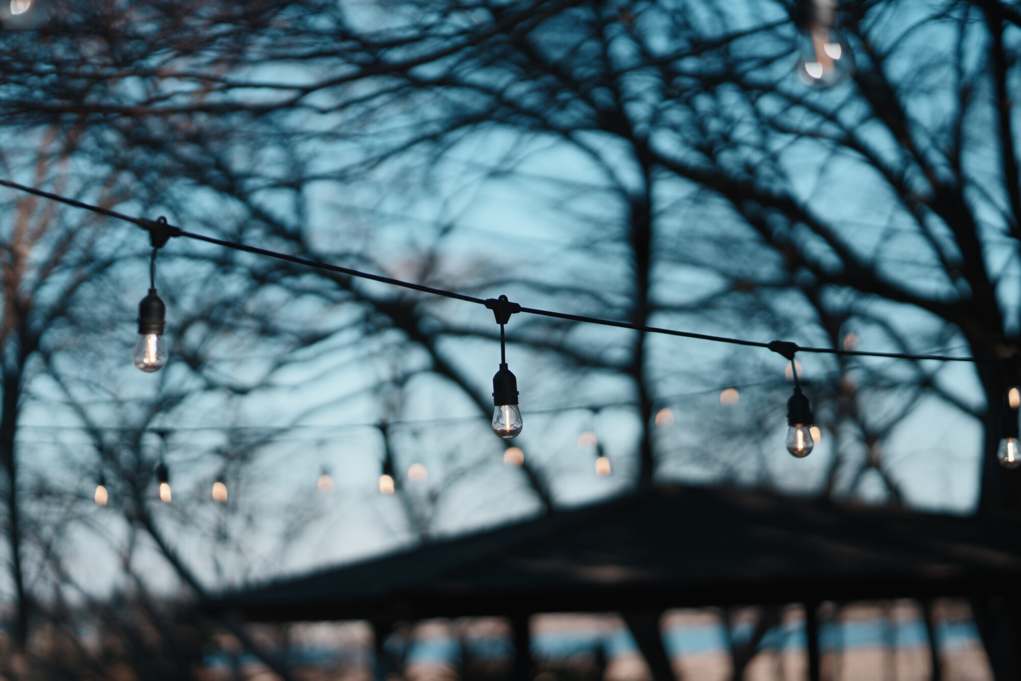 ILCE-7M5 f/1.8 1/8000sec 85mm ノーマル