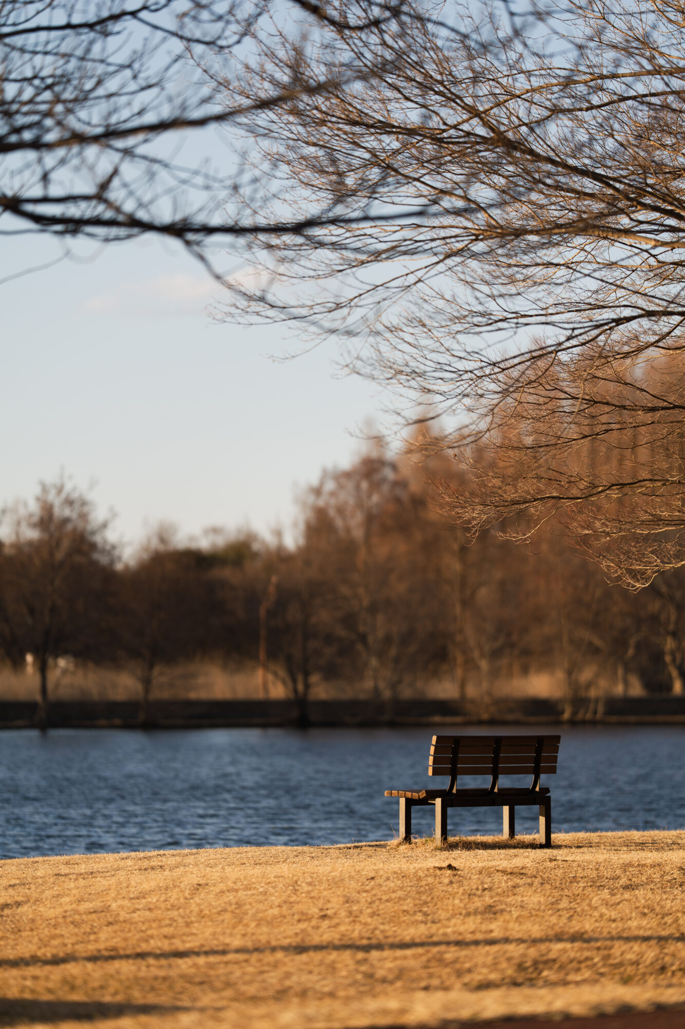 ILCE-7M5 f/1.8 1/800sec 135mm