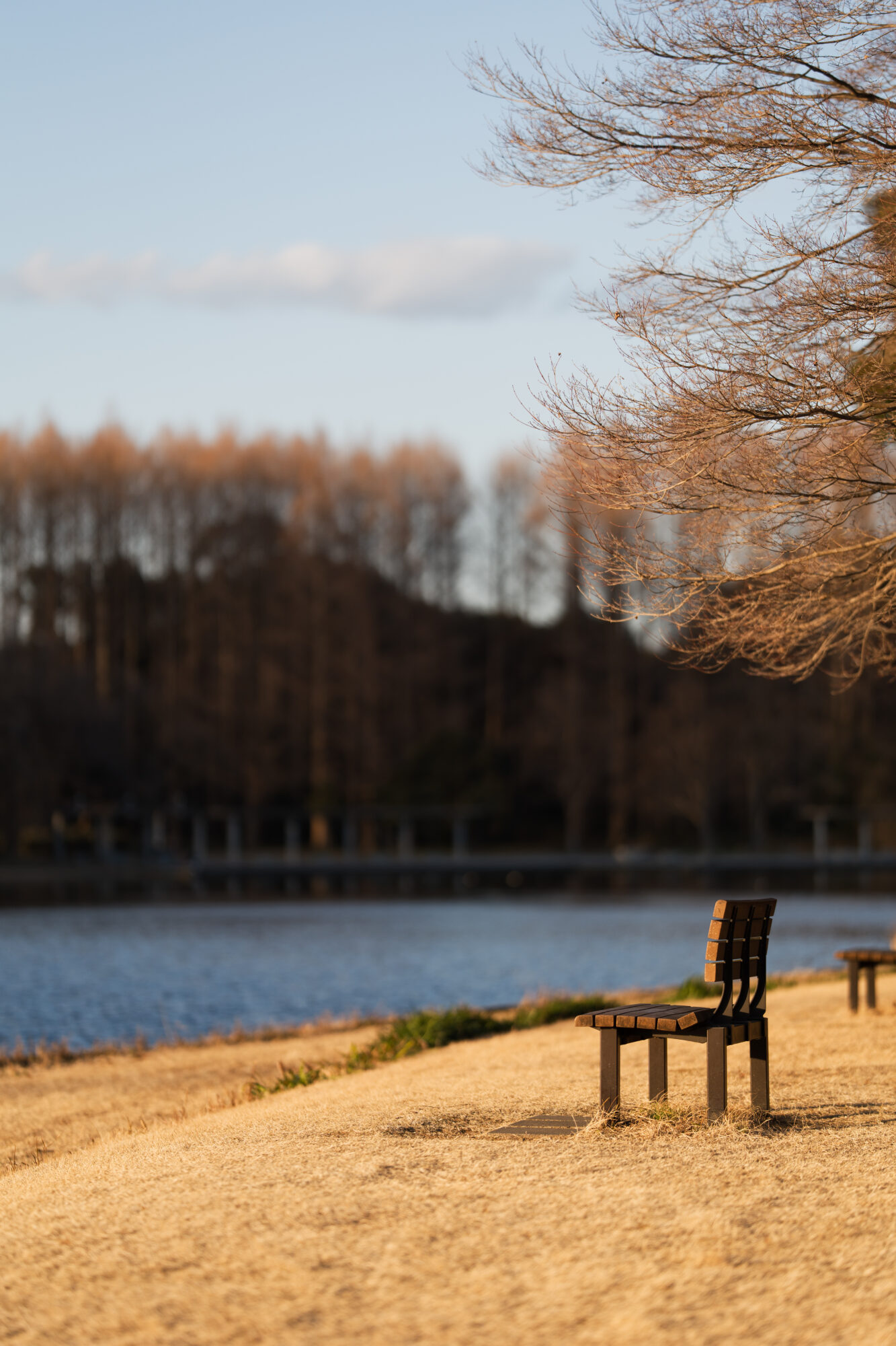 ILCE-7M5 f/1.8 1/1000sec 135mm