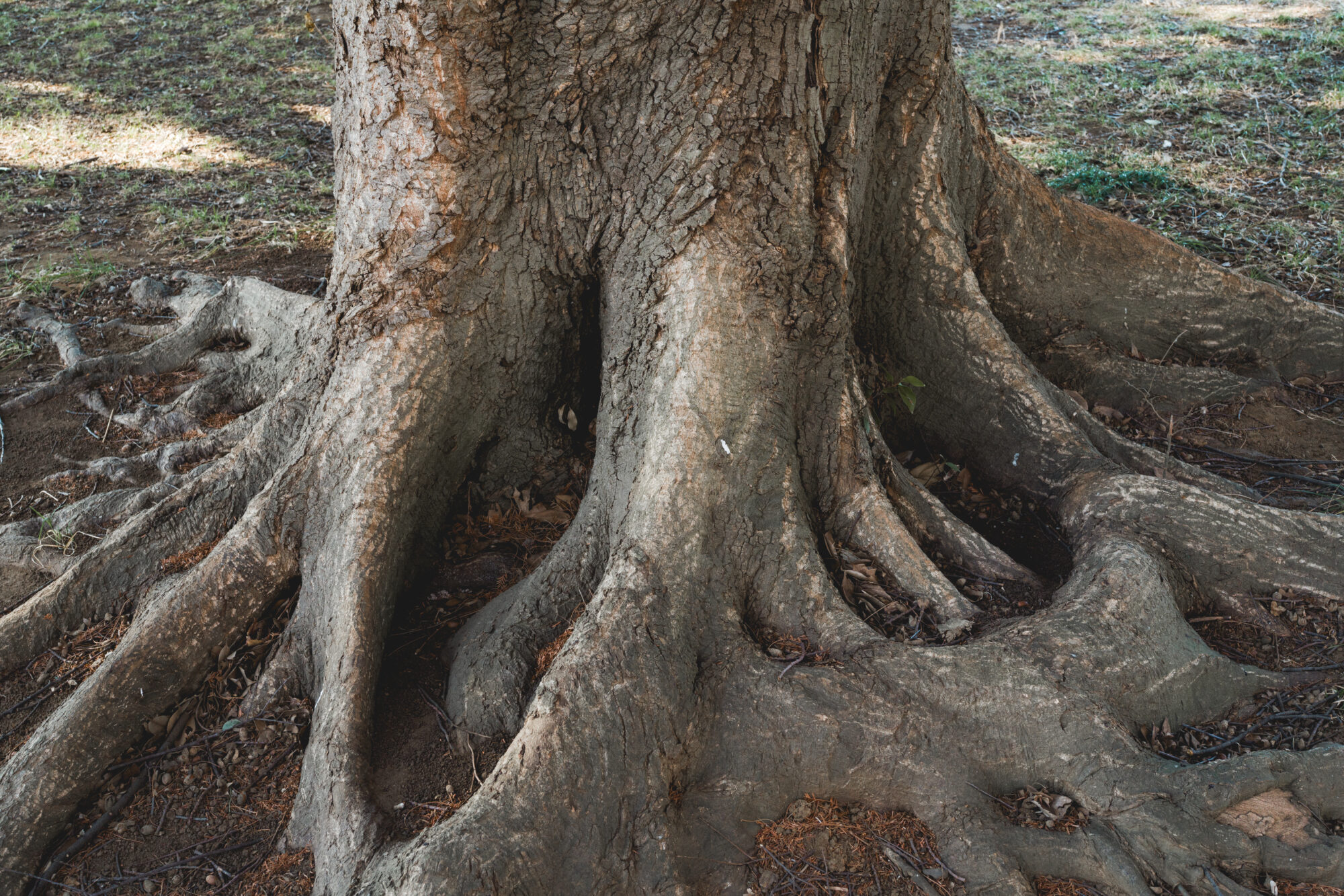 ILCE-7M5 f/9 1/60sec 40mm