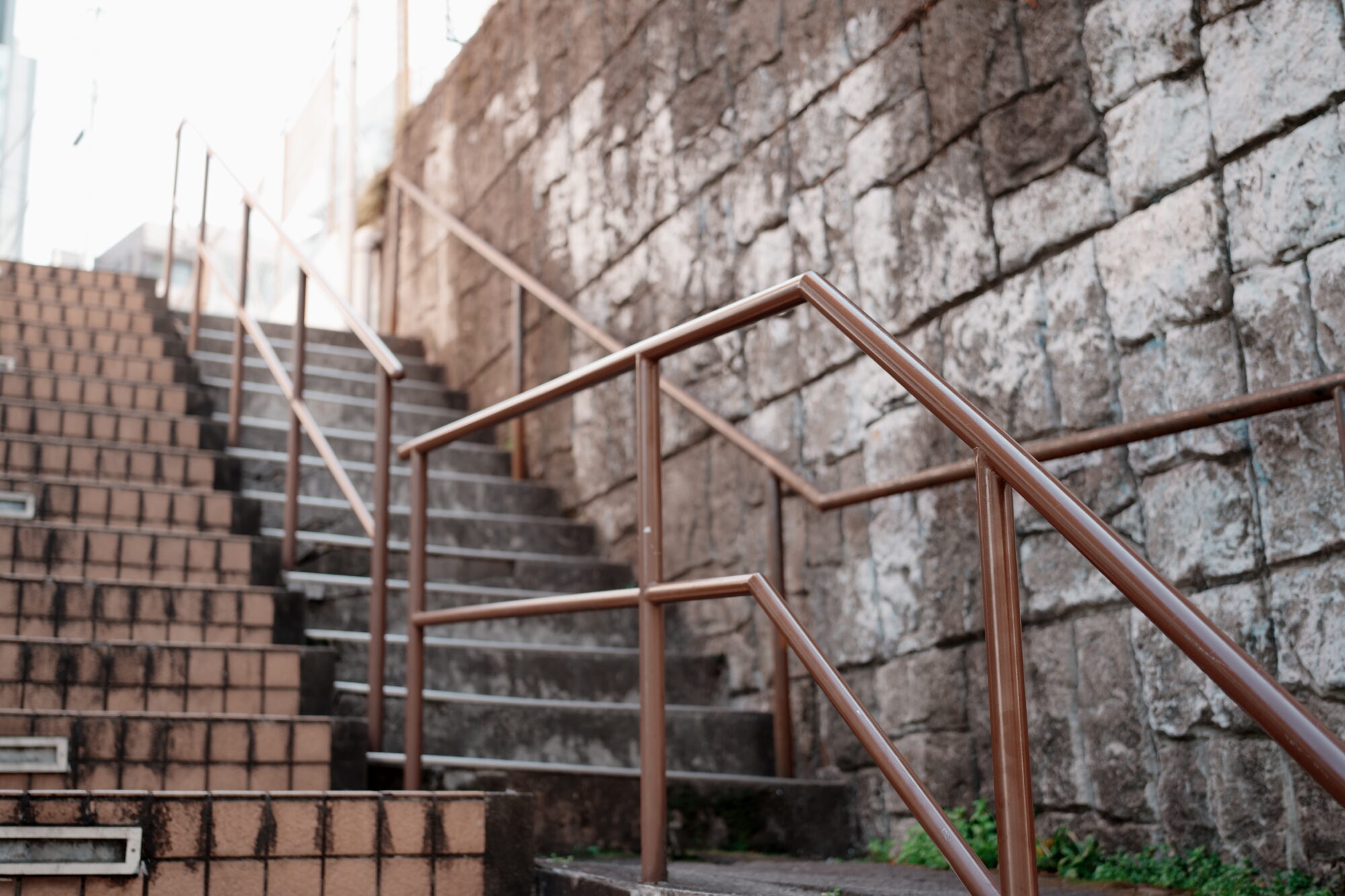 ILCE-7M5 f/2.5 1/250sec 40mm