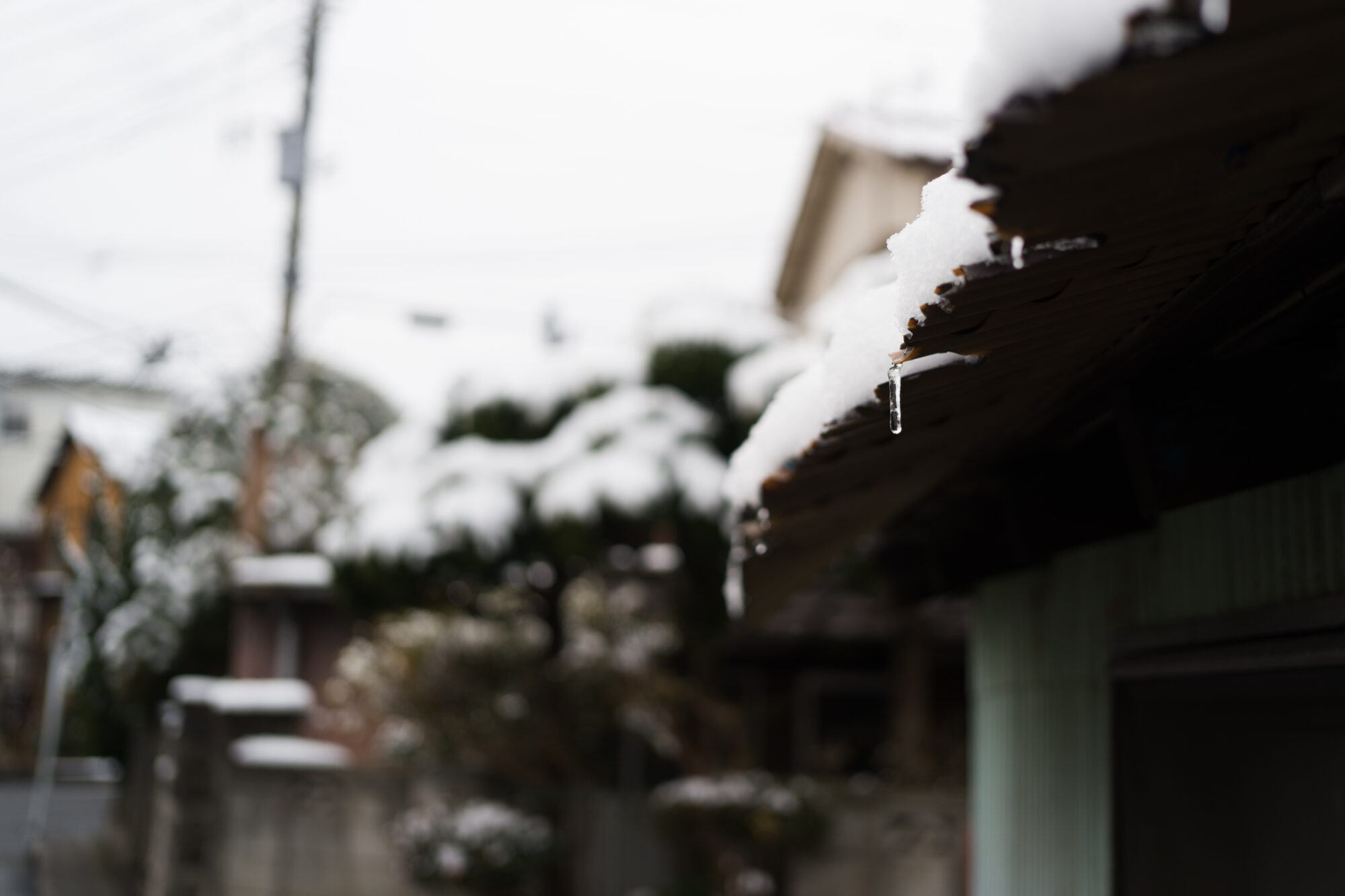 ILCE-7M5 f/2.5 1/1000sec 40mm