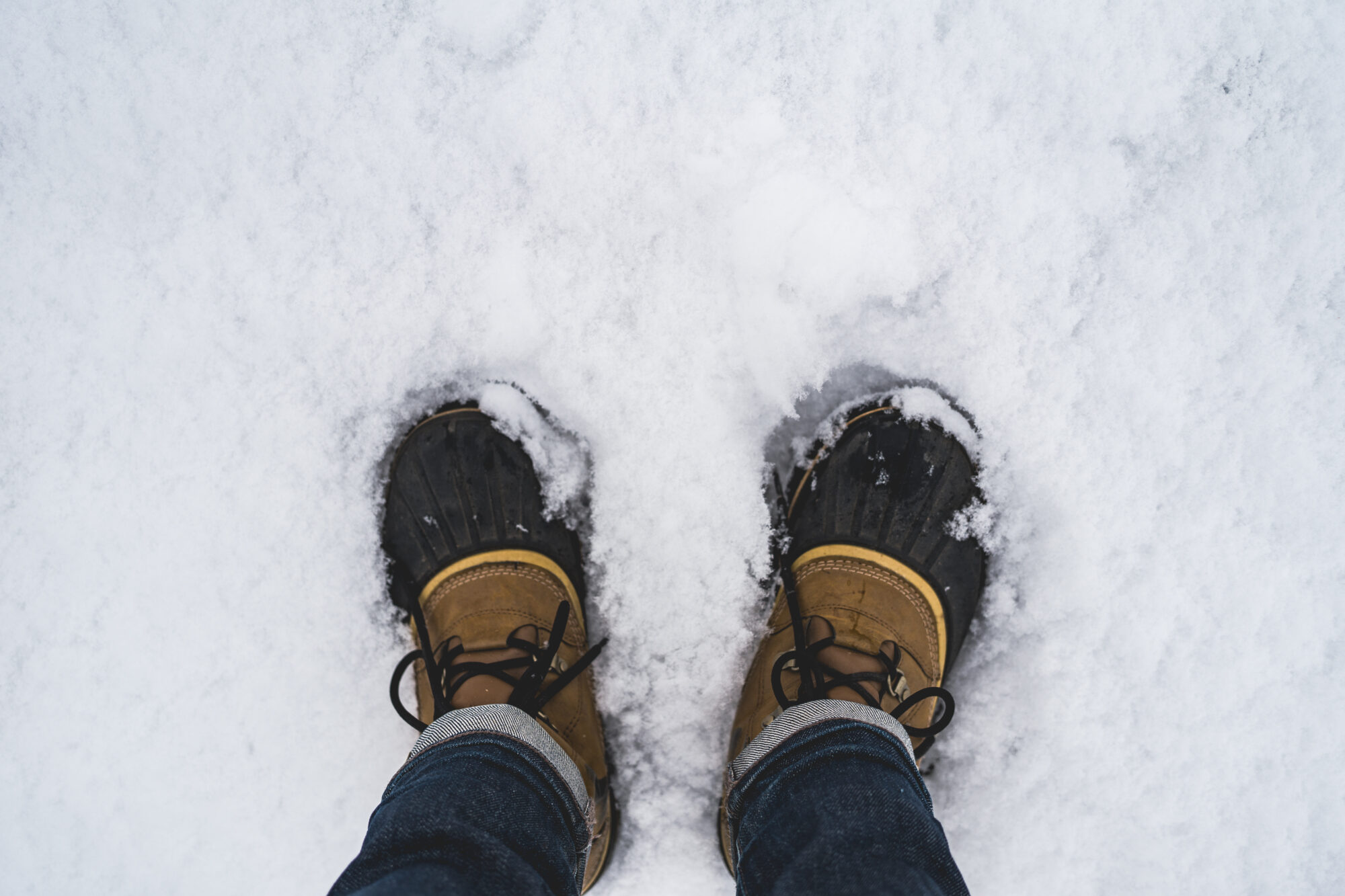 ILCE-7M5 f/2.5 1/2500sec 40mm