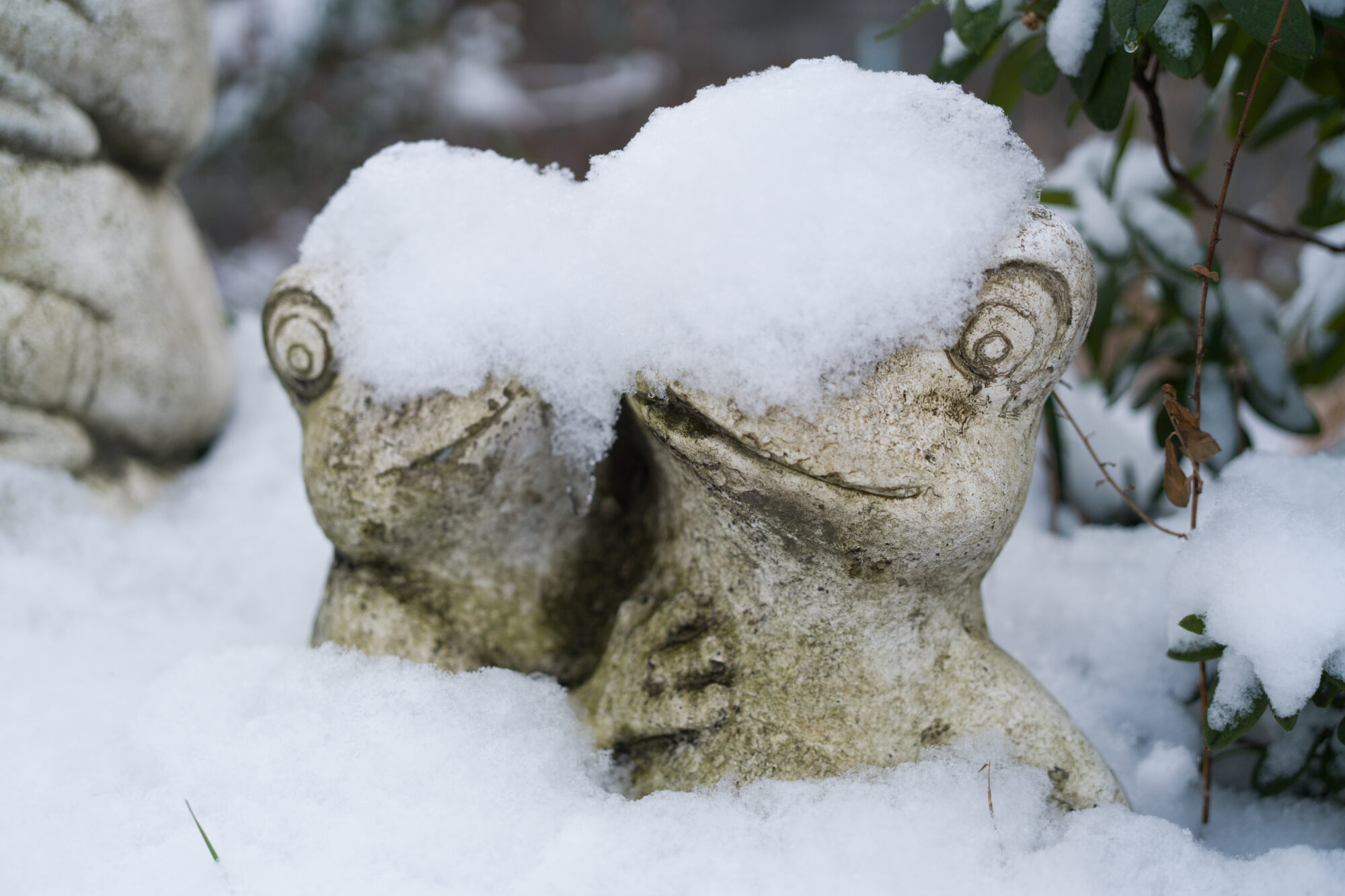 ILCE-7M5 f/2.5 1/2500sec 40mm