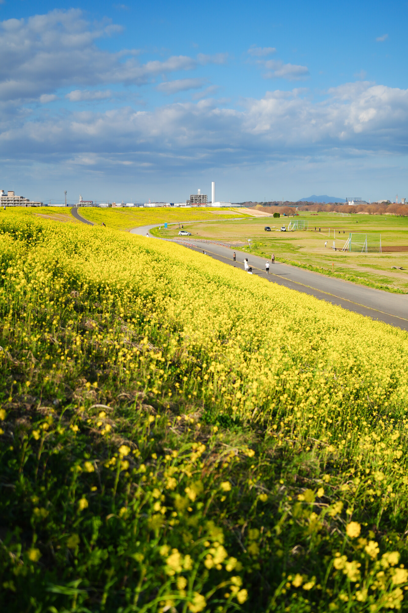 ILCE-7M5 f/2.5 1/2500sec 40mm