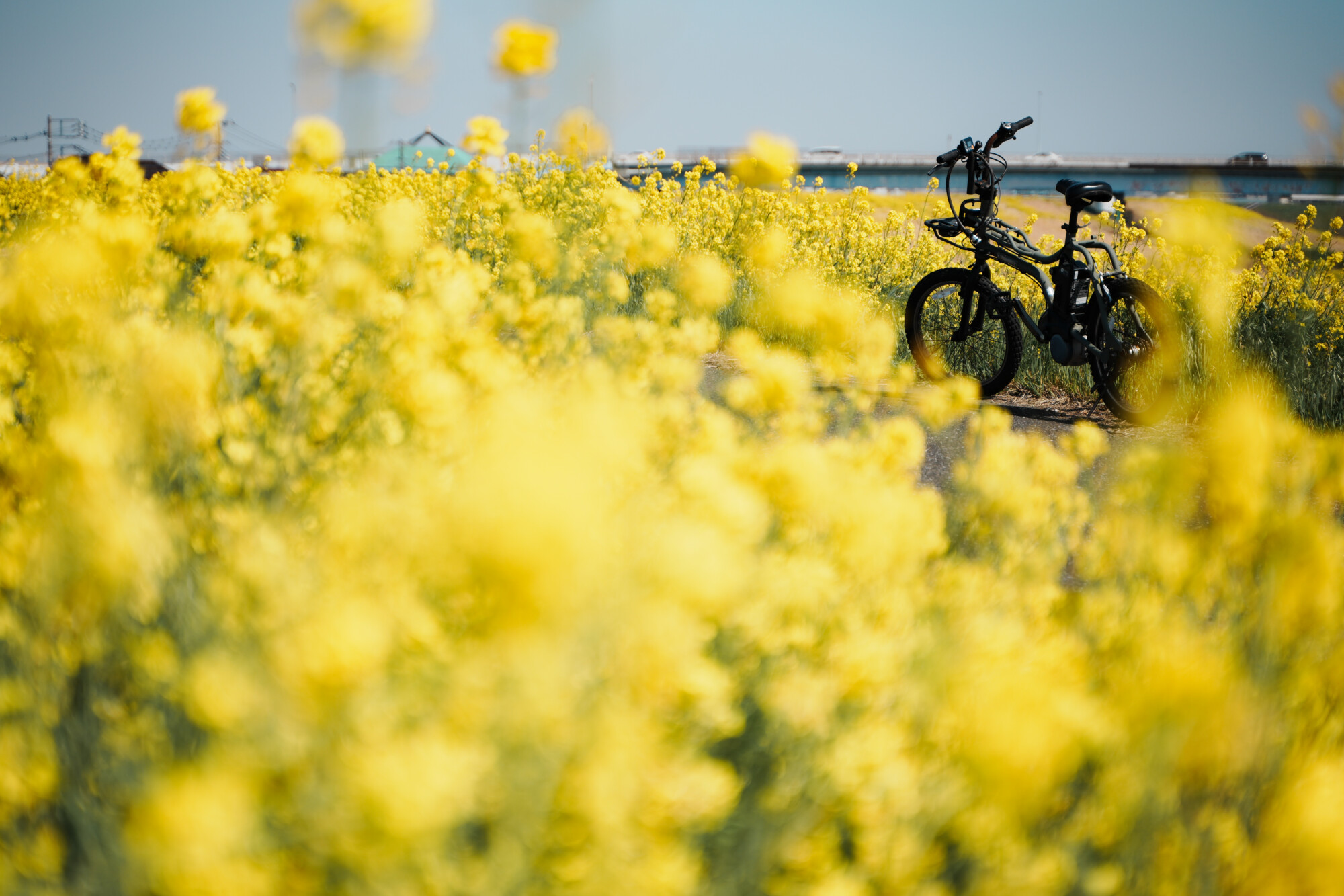 ILCE-7M5 f/2.8 1/3200sec 75mm