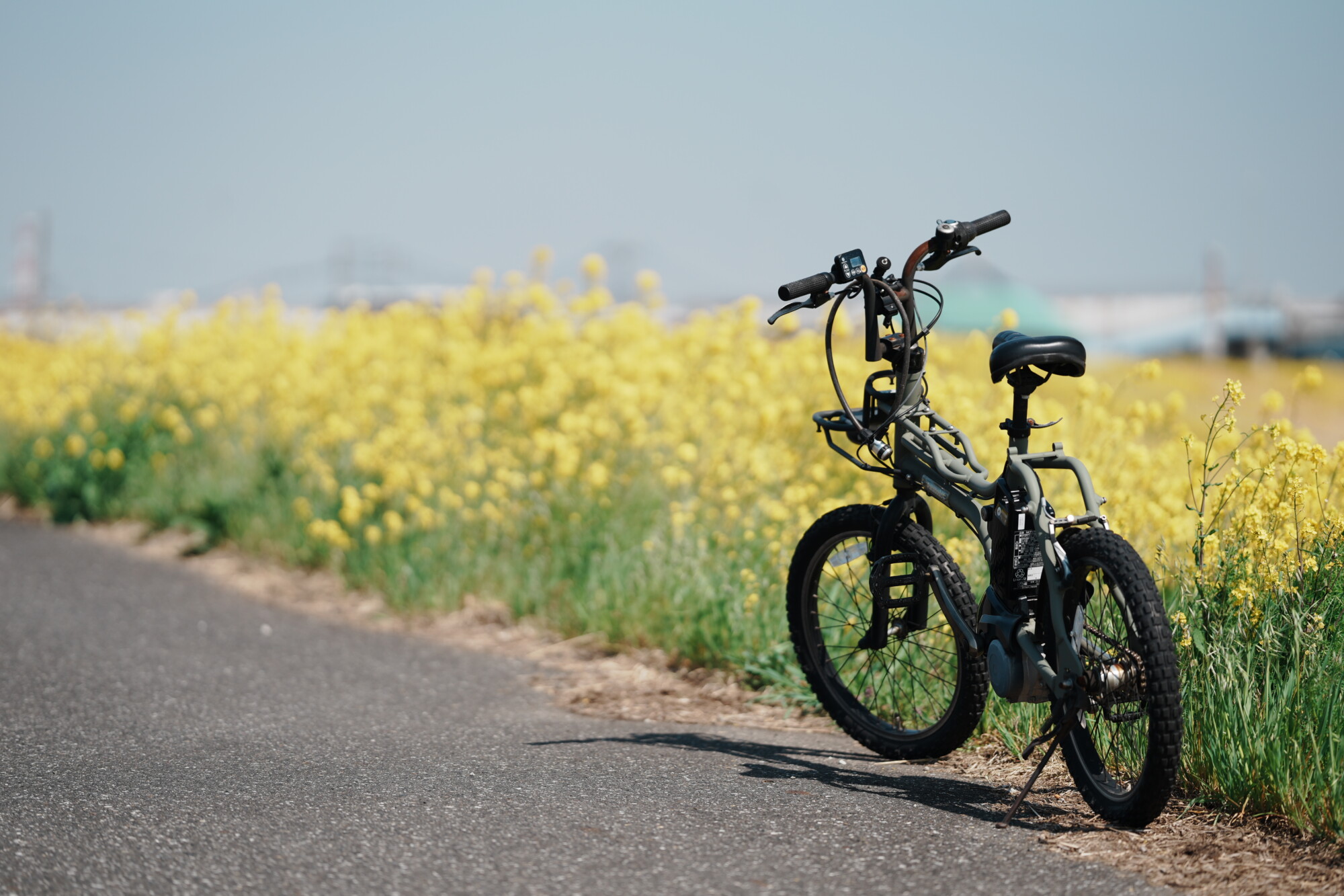 ILCE-7M5 f/1.8 1/2500sec 135mm