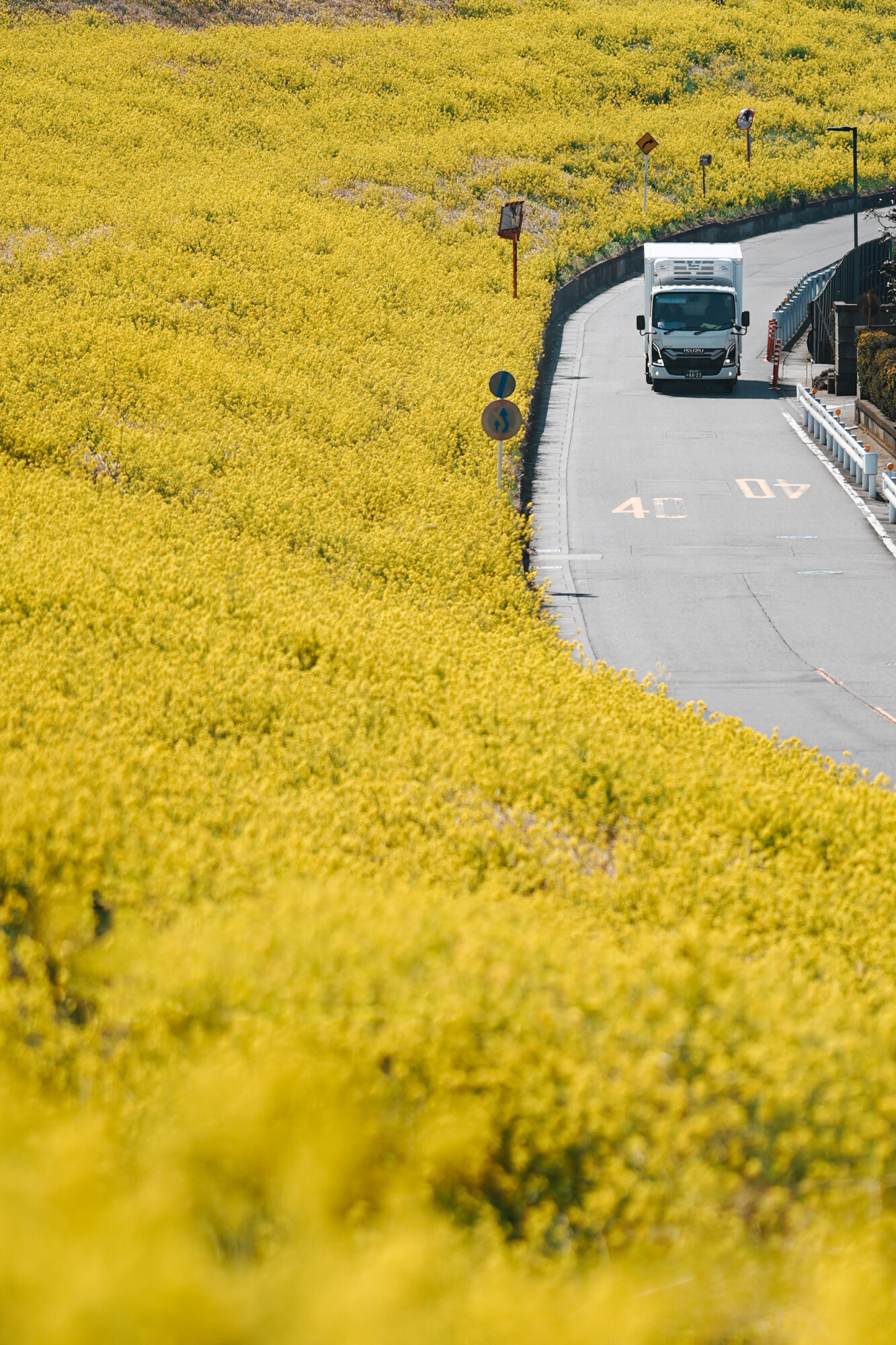 ILCE-7M5 f/1.8 1/4000sec 135mm