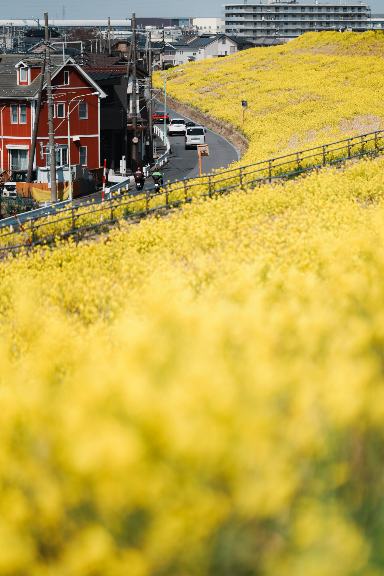 ILCE-7M5 f/1.8 1/5000sec 135mm