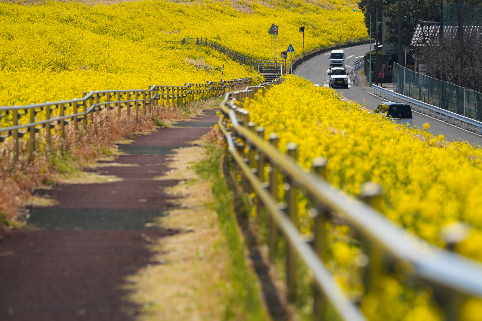 ILCE-7M5 f/4 1/800sec 135mm