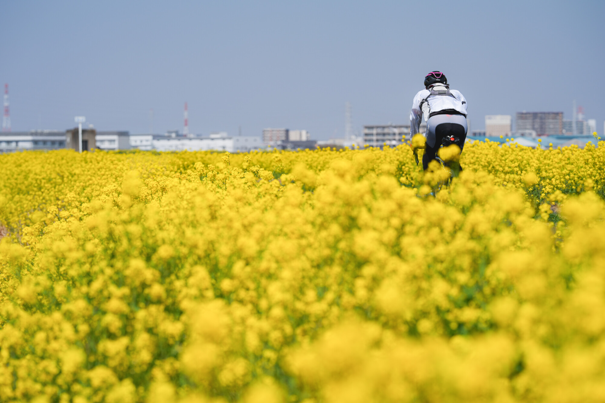 ILCE-7M5 f/4 1/1250sec 135mm