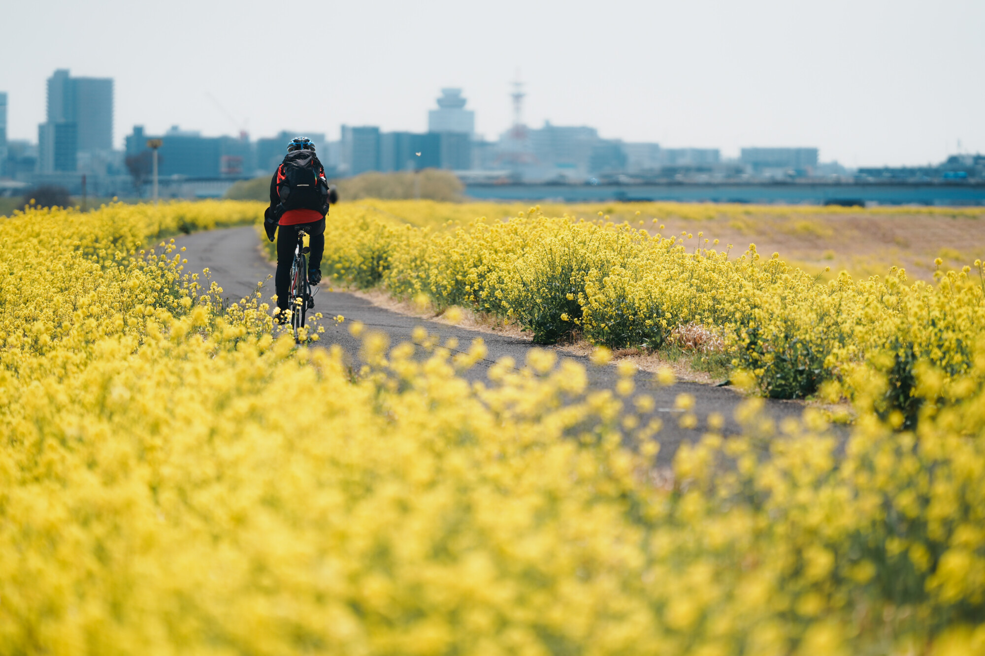 ILCE-7M5 f/1.8 1/4000sec 135mm