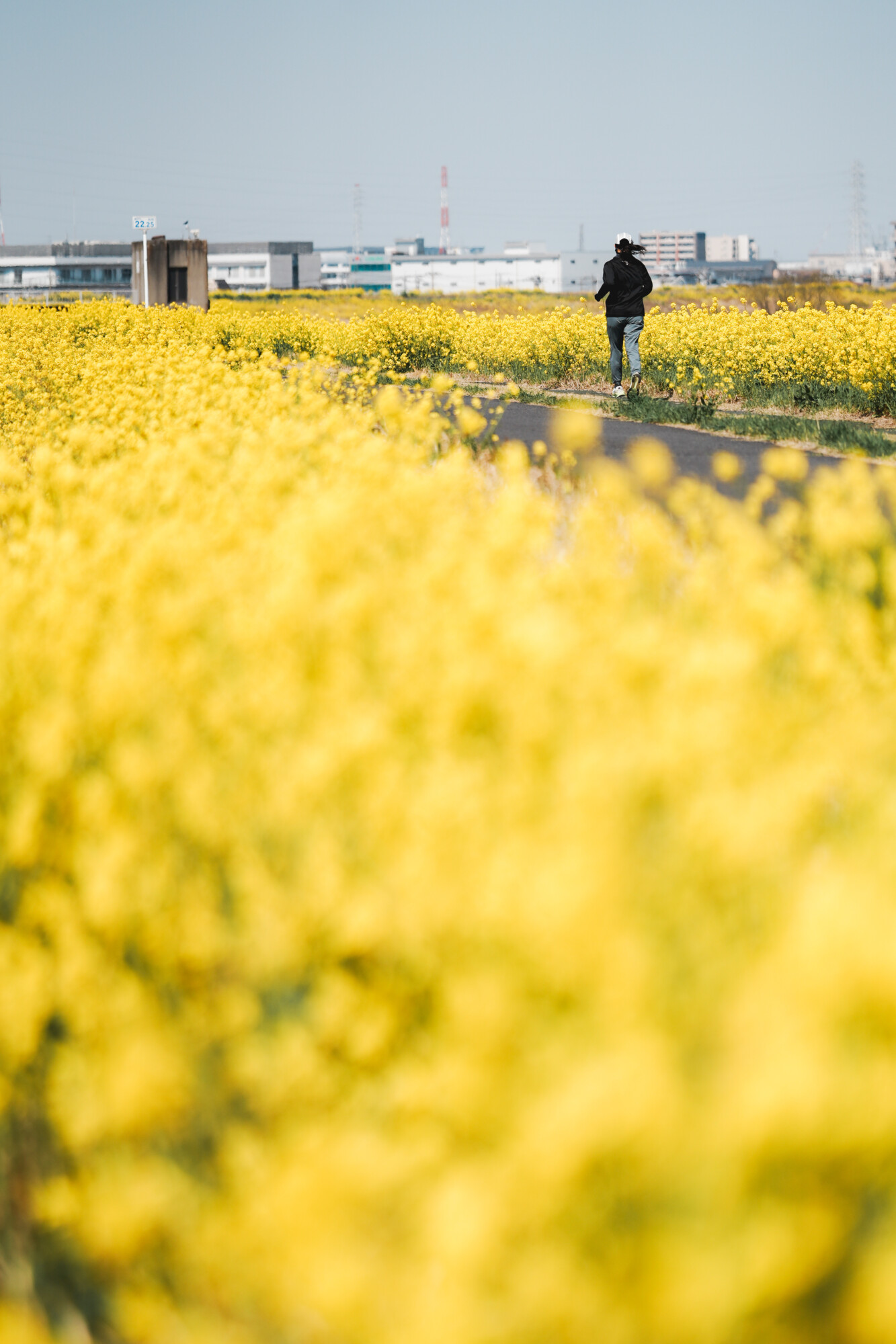 ILCE-7M5 f/1.8 1/5000sec 135mm