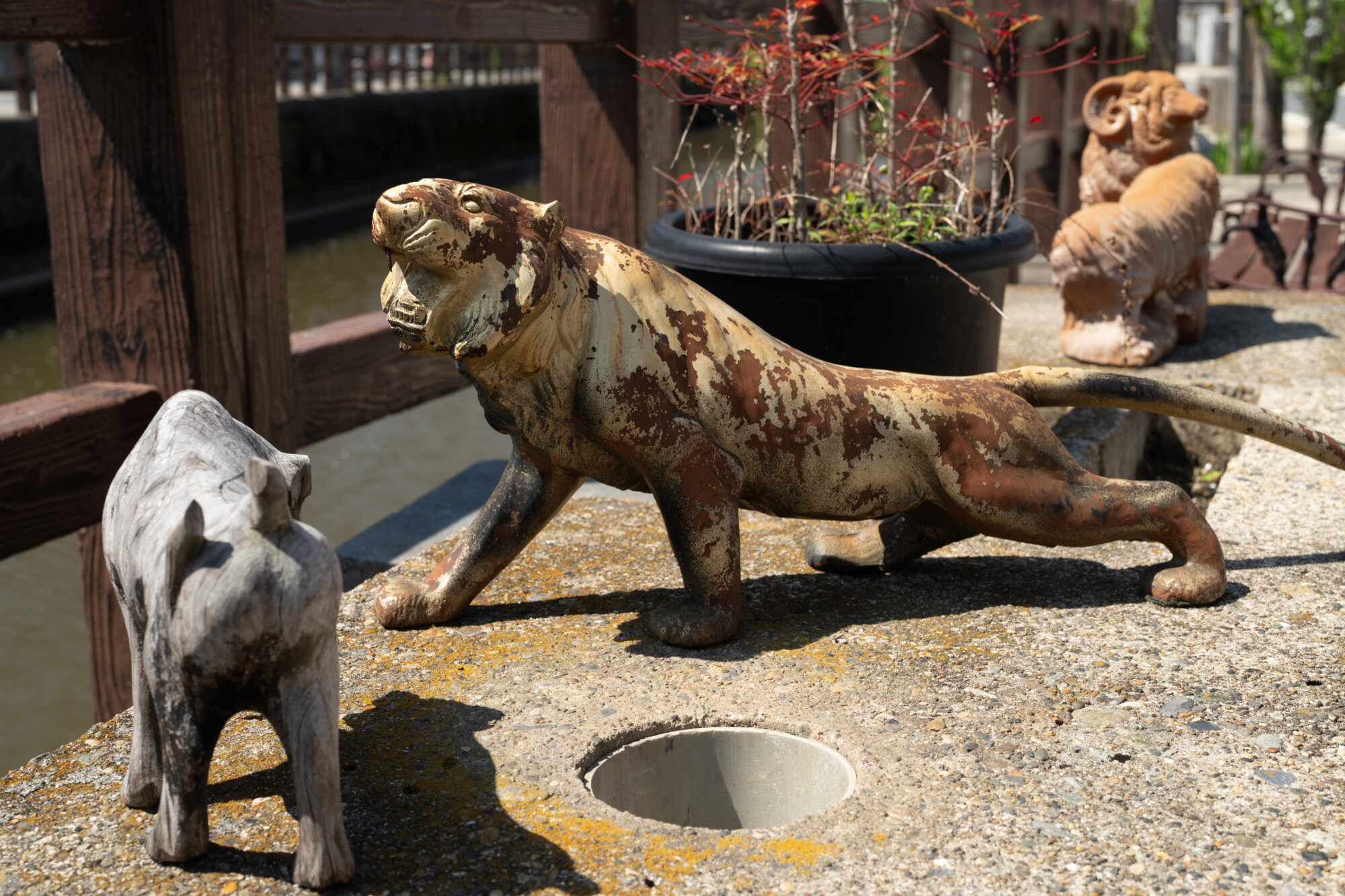 ILCE-7M5 f/8 1/80sec 40mm