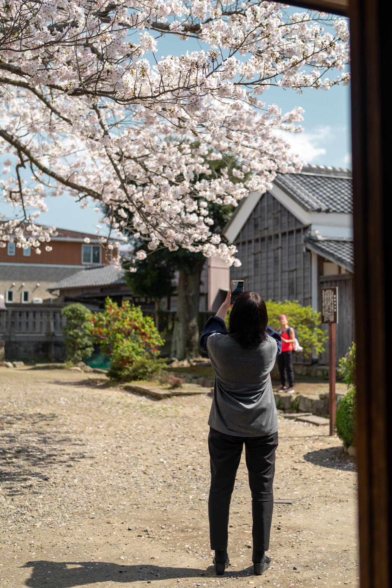 ILCE-7M5 f/2.5 1/1000sec 40mm