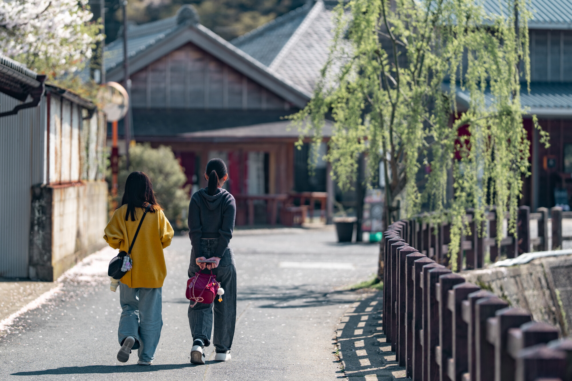 ILCE-7M5 f/1.8 1/1000sec 135mm