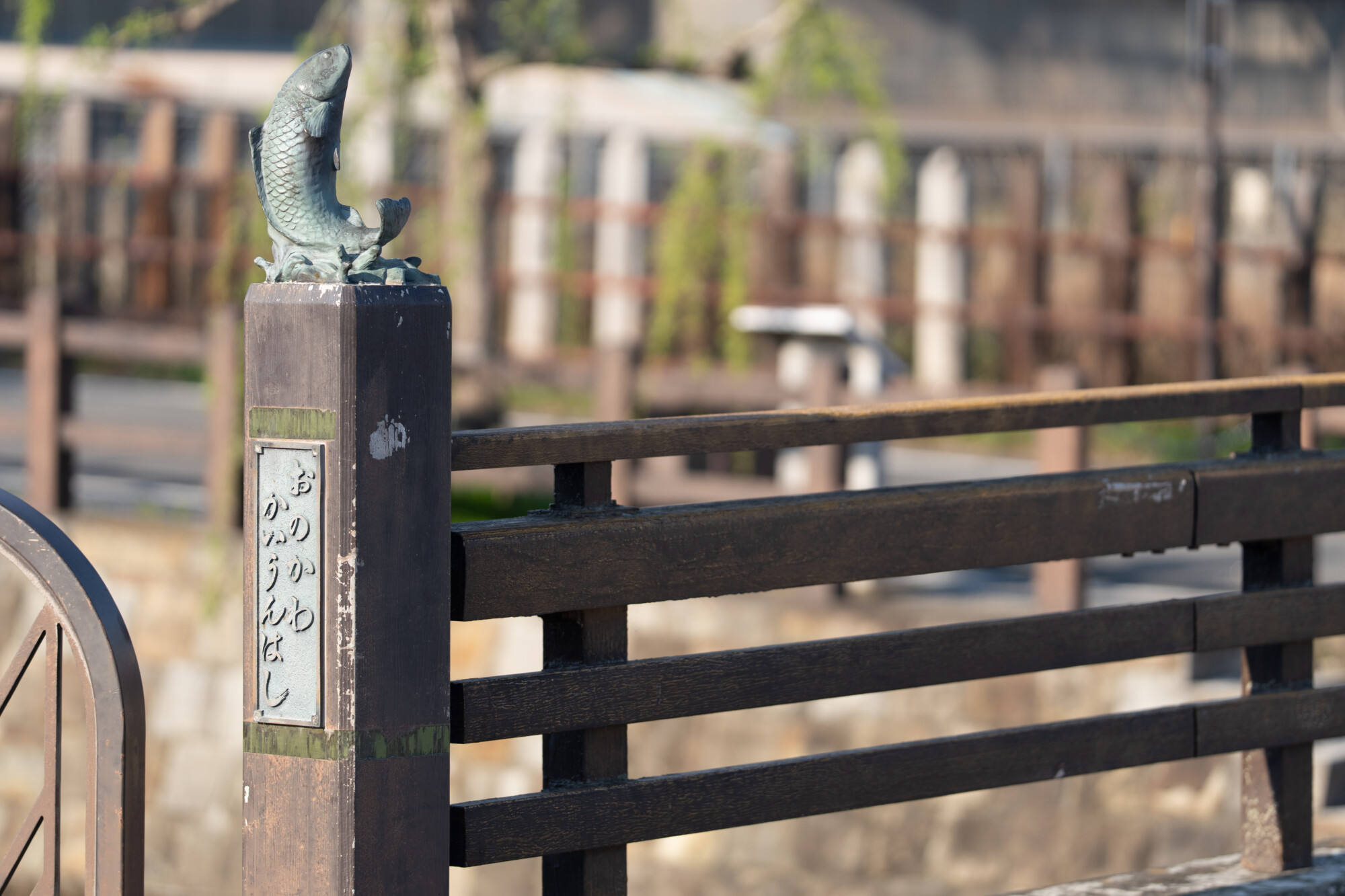 ILCE-7M5 f/1.8 1/1250sec 135mm